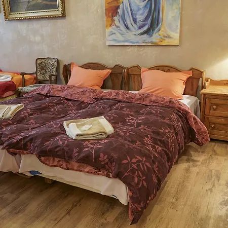 Rooster Ostello Veliko Tărnovo