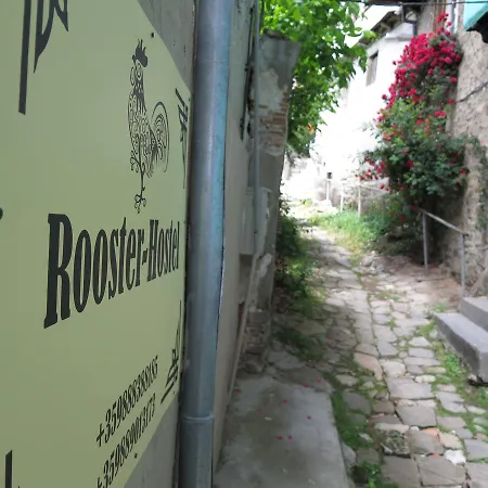 Rooster * Veliko Tarnovo