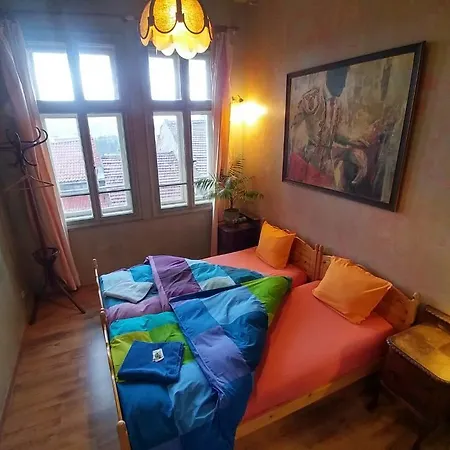 Rooster Hostel