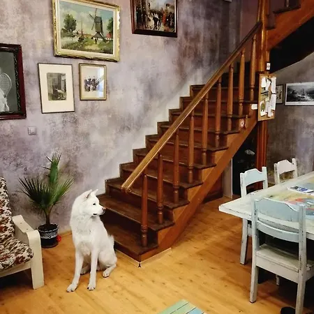 Vandrerhjem Rooster Veliko Tarnovo