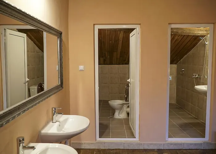 Rooster * 벨리코 터르노보