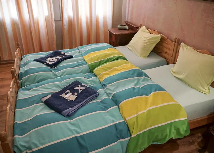 Rooster * 벨리코 터르노보