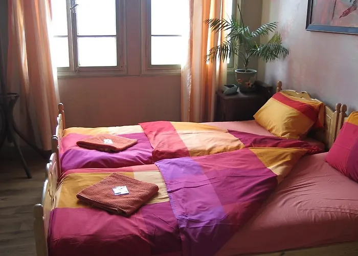 Rooster * 벨리코 터르노보