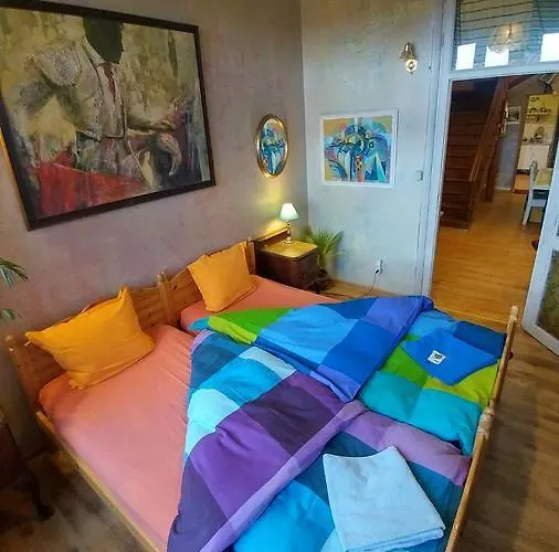 Rooster 벨리코 터르노보