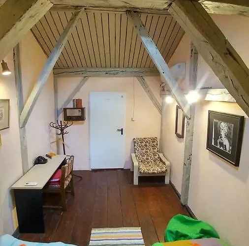 Rooster 호스텔 벨리코 터르노보