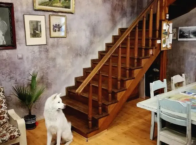 אכסניה Rooster וליקו טורנובו